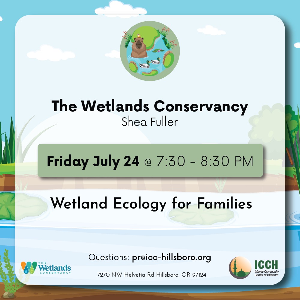 Wetland Ecology for Families – The Wetlands Conservancy