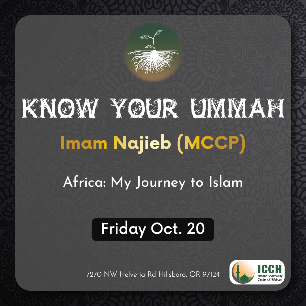 Past ICCH program flyer